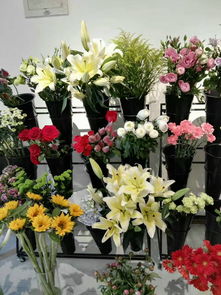 渝北区鲜花配送 爱 花儿精品花屋