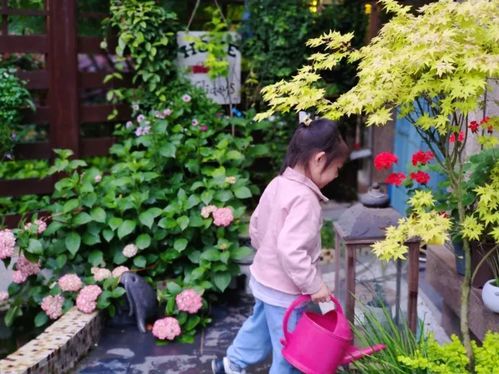2年前,买了个底楼带50㎡小院的房子,在繁华都市过上了花园生活